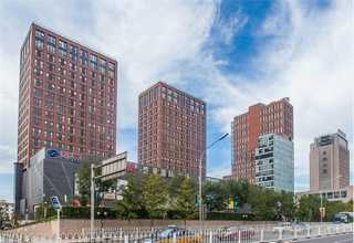 温州实木板材价格